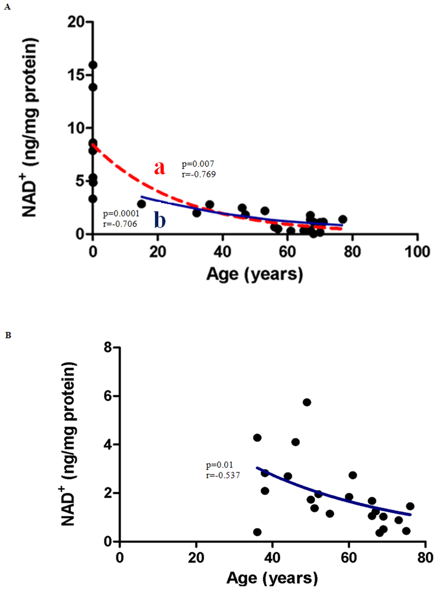 nad+ iv therapy benefits