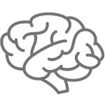 brain illustration