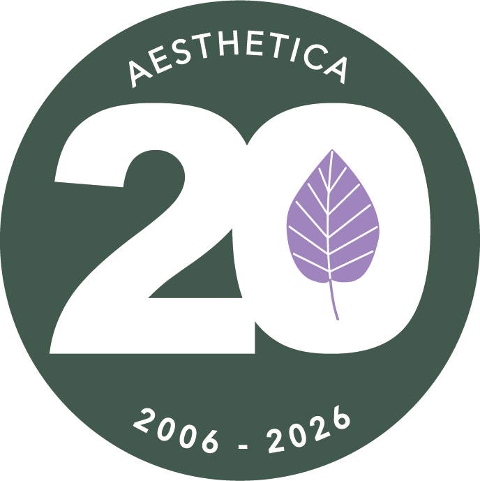 20th anniversary logo